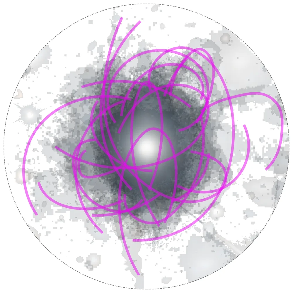 Stellar stream tracks from 13 Euclid galaxies, drawn as magenta curves and stacked over one host galaxy, as if every stream orbits a common center.
